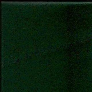 photo16.jpg